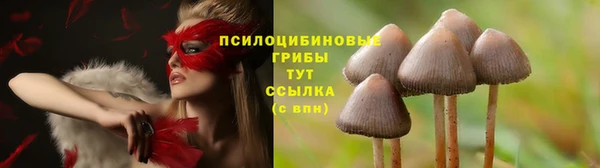 амф Наволоки