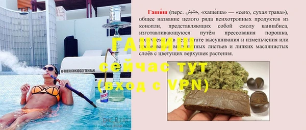 индика Березники