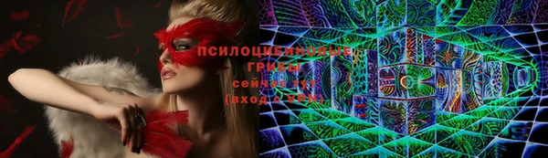 кокс Надым