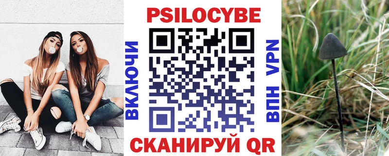 Галлюциногенные грибы мицелий  где можно купить   Болохово 